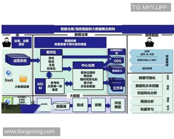 南京飞盘队的战术解析与控制体系探索之路